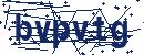 Code aus dem Bild eingeben