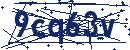 Code aus dem Bild eingeben