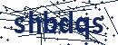 Code aus dem Bild eingeben