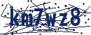 Code aus dem Bild eingeben