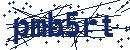 Code aus dem Bild eingeben