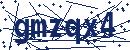 Code aus dem Bild eingeben