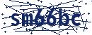 Code aus dem Bild eingeben