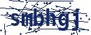 Code aus dem Bild eingeben