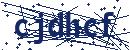 Code aus dem Bild eingeben