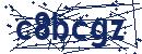 Code aus dem Bild eingeben