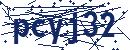 Skriv koden fra billedet