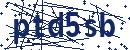 Code aus dem Bild eingeben
