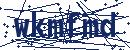 Code aus dem Bild eingeben