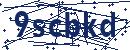 Code aus dem Bild eingeben