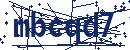 Code aus dem Bild eingeben