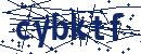 Code aus dem Bild eingeben