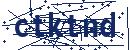 Code aus dem Bild eingeben