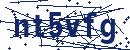 Code aus dem Bild eingeben