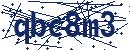 Code aus dem Bild eingeben