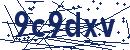 Code aus dem Bild eingeben