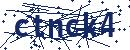 Code aus dem Bild eingeben
