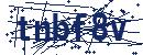 Code aus dem Bild eingeben