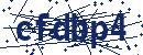 Code aus dem Bild eingeben