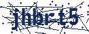 Code aus dem Bild eingeben