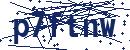 Code aus dem Bild eingeben