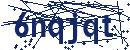Code aus dem Bild eingeben