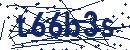 Code aus dem Bild eingeben