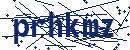 Code aus dem Bild eingeben