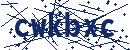 Code aus dem Bild eingeben