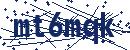 Code aus dem Bild eingeben