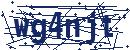 Code aus dem Bild eingeben