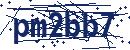 Code aus dem Bild eingeben