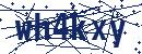 Code aus dem Bild eingeben
