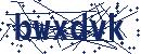 Code aus dem Bild eingeben