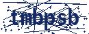 Code aus dem Bild eingeben