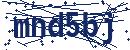 Code aus dem Bild eingeben