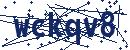 Code aus dem Bild eingeben