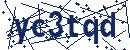 Code aus dem Bild eingeben