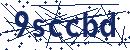 Code aus dem Bild eingeben