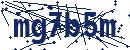Code aus dem Bild eingeben