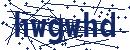 Code aus dem Bild eingeben