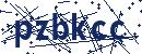 Code aus dem Bild eingeben