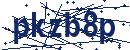 Code aus dem Bild eingeben