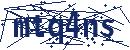 Code aus dem Bild eingeben
