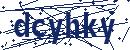 Code aus dem Bild eingeben