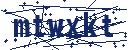 Code aus dem Bild eingeben