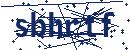 Code aus dem Bild eingeben