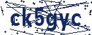 Code aus dem Bild eingeben