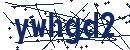 Code aus dem Bild eingeben