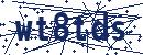 Code aus dem Bild eingeben